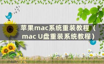 苹果mac系统重装教程（mac U盘重装系统教程）